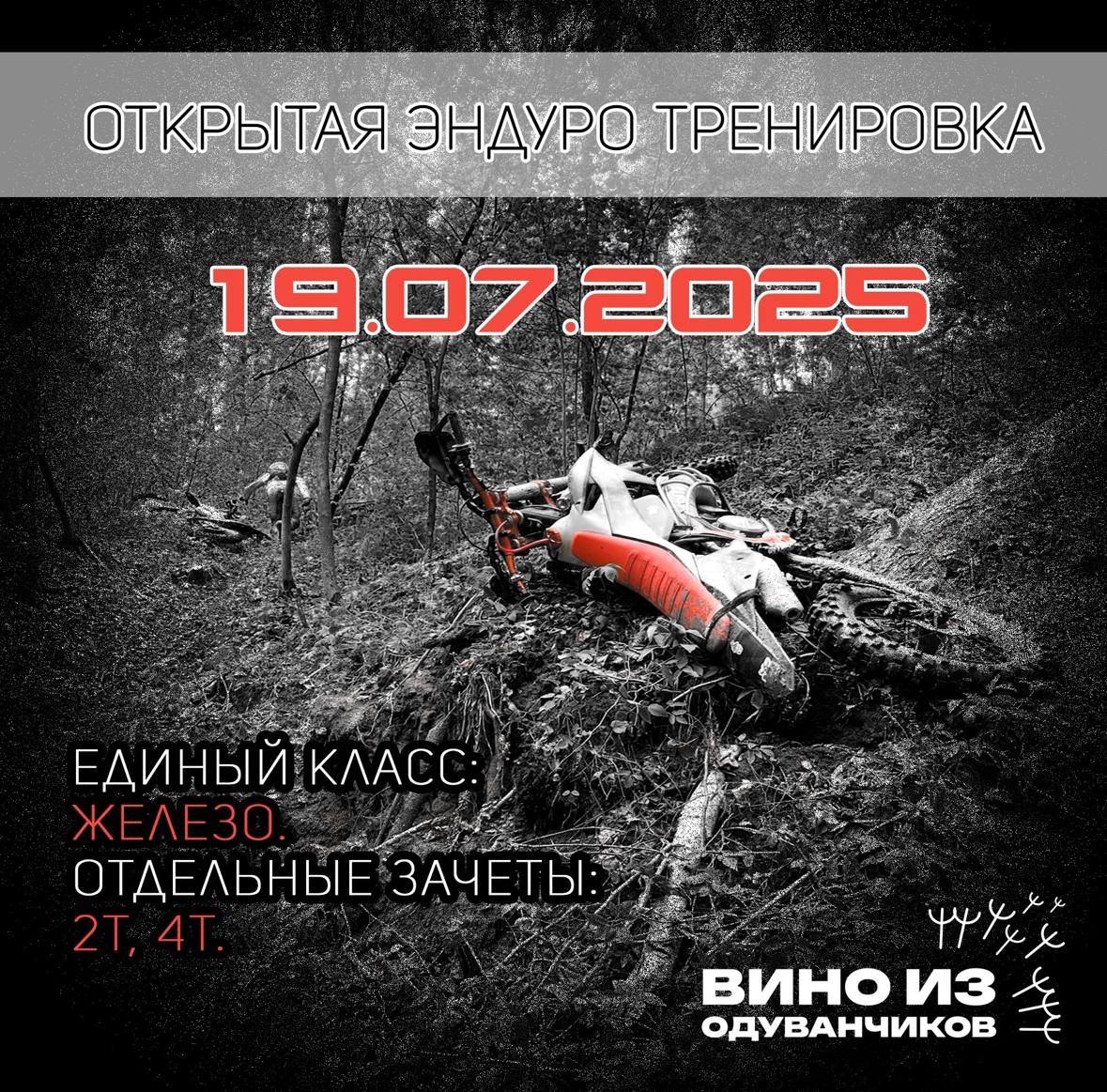 Вино из одуванчиков 2025