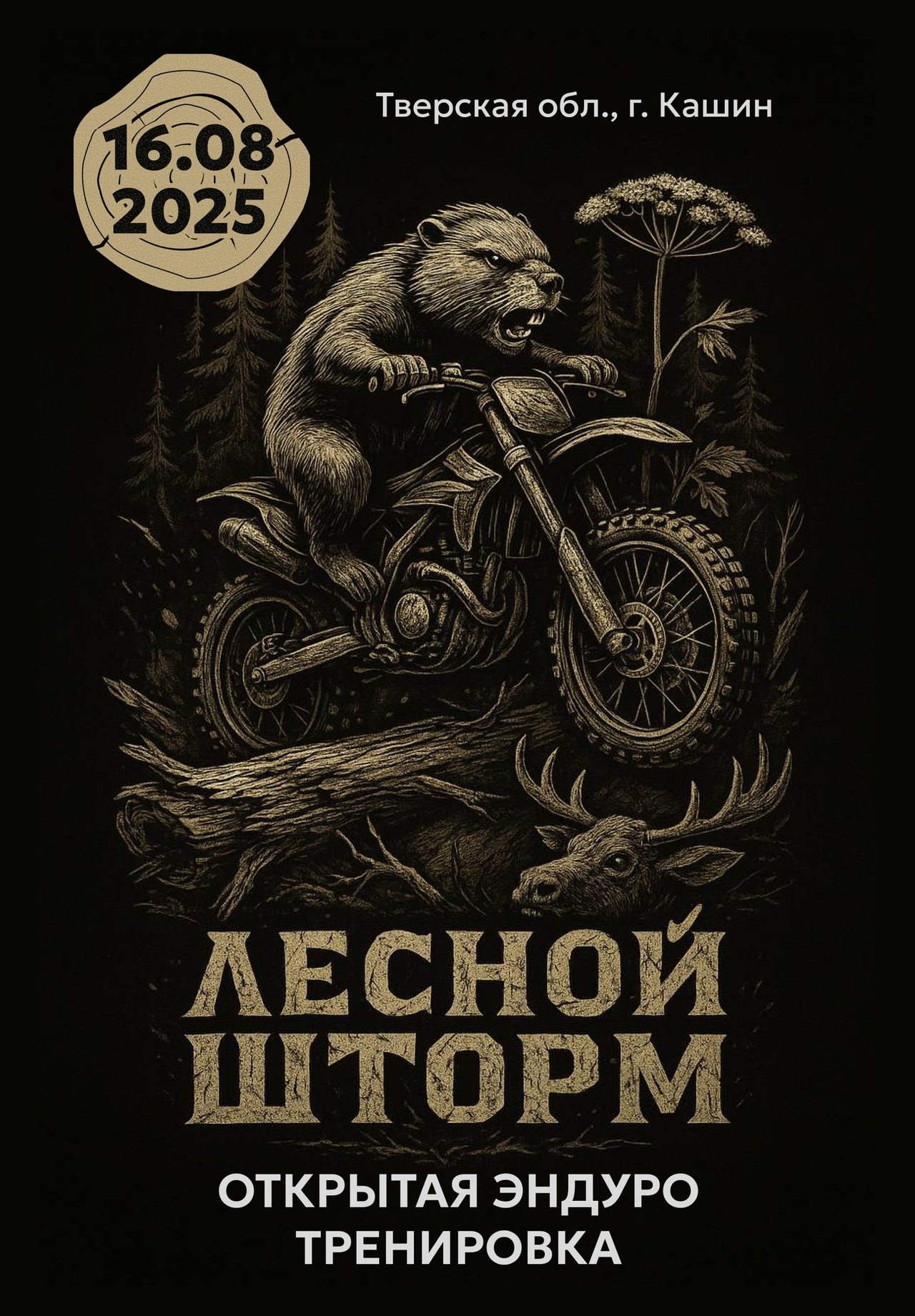 Открытая тренировка Лесной шторм 2025