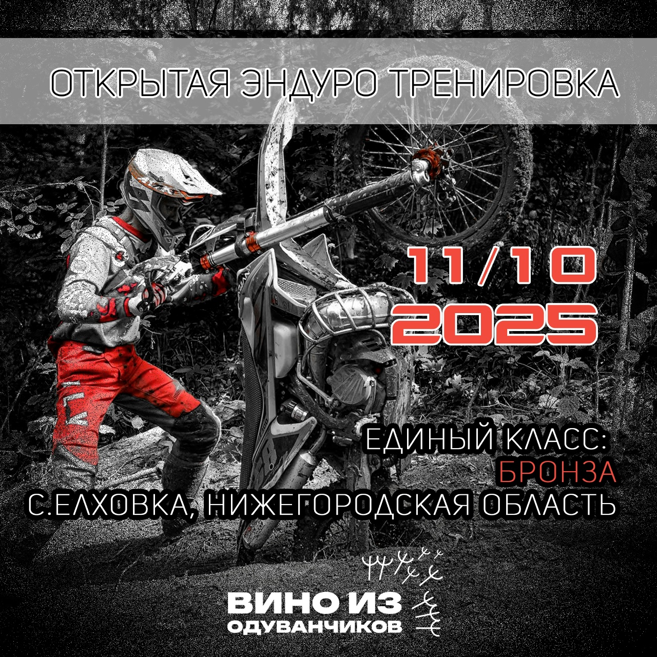 Вино из одуванчиков 2025